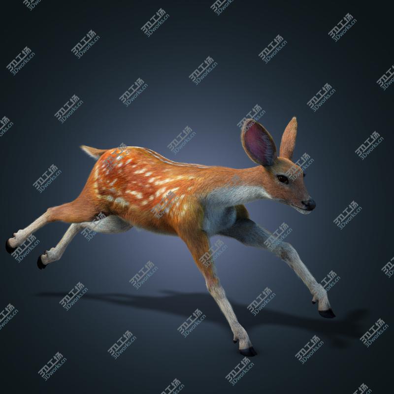 images/goods_img/2021040161/- sika deer FUR ANIMATED by/3.jpg